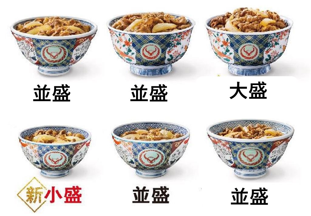 牛丼　並盛