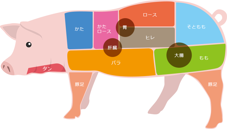 豚肉　部位
