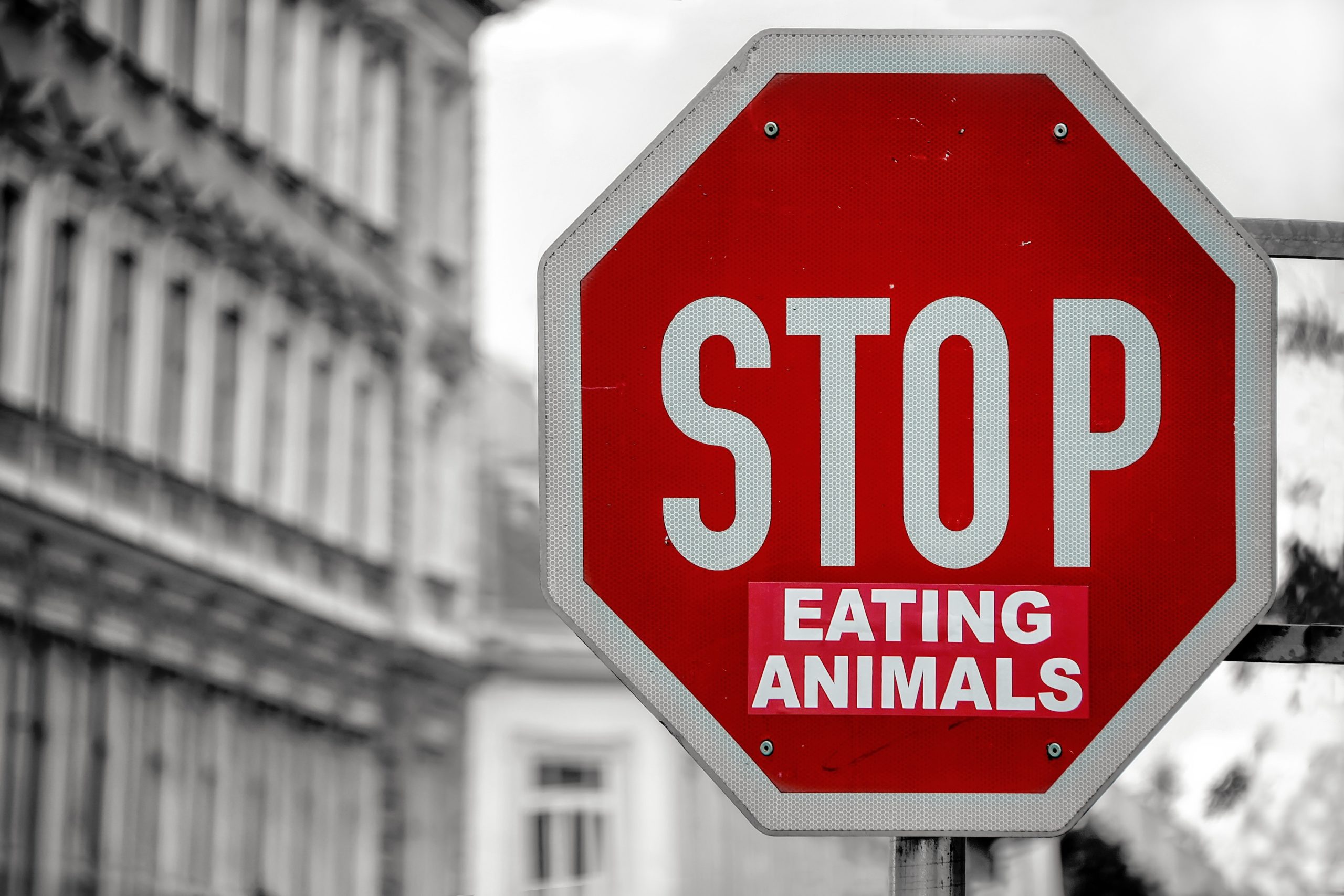 ヴィーガンになる背景　動物を食べるのをやめよう